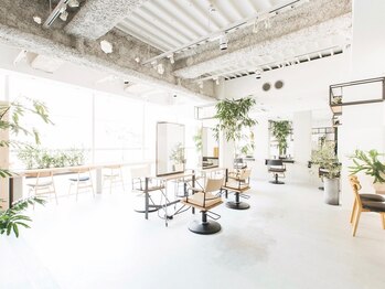 FILMS 銀座【フィルムス　ギンザ】