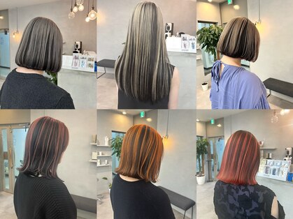 ルーシー(Lucy)の写真