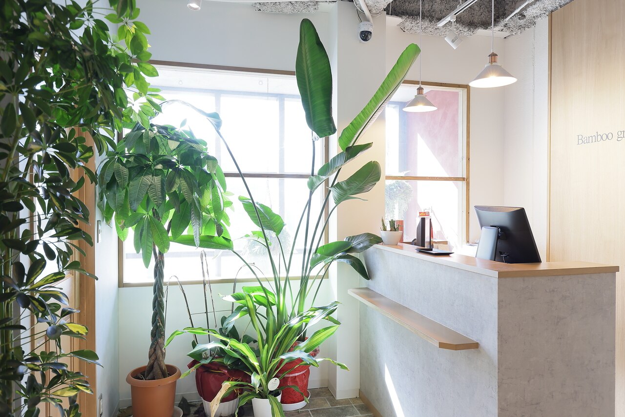 Bamboo　grass※プロフ必読さま専用ページ アクセス | Bamboo grass