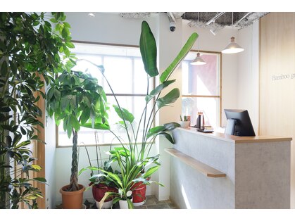 バンブーグラス(Bamboo grass)の写真