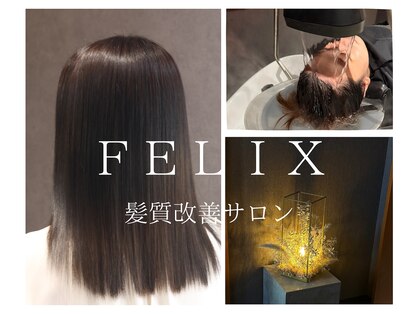 フェリックス(FELIX)の写真
