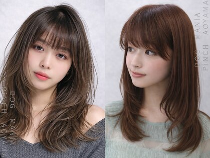 ドッグマニアピンチアオヤマ(DOGMANIA PiNCH AOYAMA)の写真