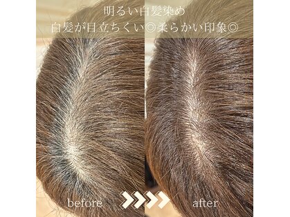 ニコ(Nico)の写真