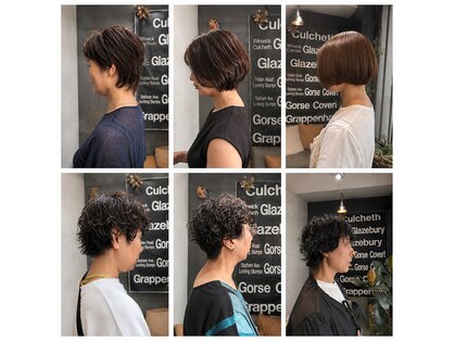 スノッブリコ(snob rico)の写真