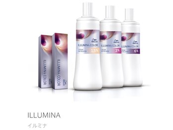 teddy  綱島店 【テディ】