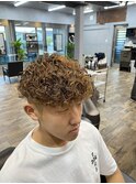 プードルスペインカール