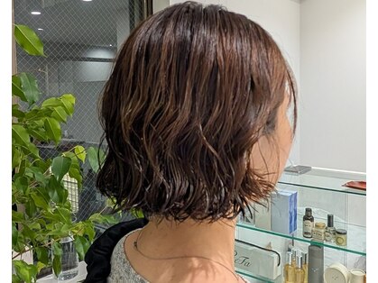 モッチ(mocci)の写真