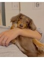 クレア 上大岡(CREA) 愛犬カニンヘンダックスフンドのココちゃんです◎