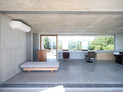 リトルバード(3 Little Birds)の写真