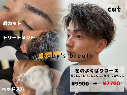 ベイビーズブレス(Baby's breath)の写真