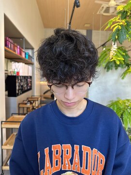 ドライツイスパ