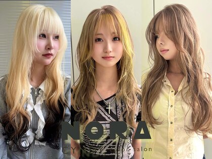 ノラ シンディ(NORA CYNDY)の写真