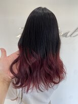 ゼ シール(Ze seal)&nbsp;☆20代、30代に人気☆グラデーションカラー