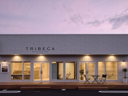 トライベッカスマートサロン(TRIBECA smart salon)の写真
