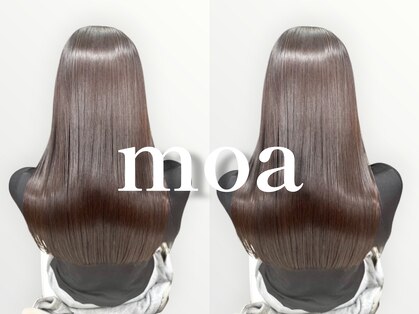 モア(moa)の写真