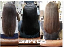 ラウレア リノ(Laule'a Lino)