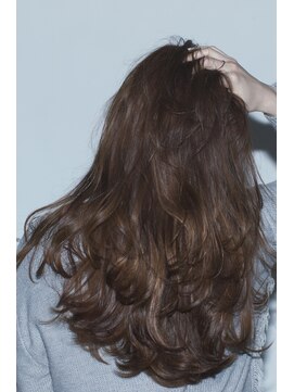 ベルス(bellus) 【Dalcarebellus】イルミナトワイライトカラー