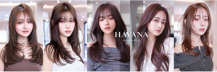 ハバナ 立川(HAVANA)のサロンヘッダー
