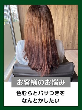 ターフタカサキディエル(TURF TAKASAKI D.L) お悩み別：色むらとパサつきをなんとかしたい