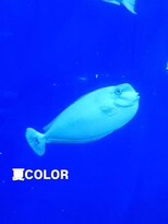 シャルシェ(Chercher) 夏グレーCOLOR
