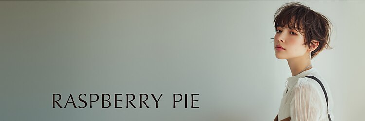 ラズベリーパイ(raspberry pie)のサロンヘッダー