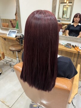 ノーム 横浜(NORM) ボルドーカラー