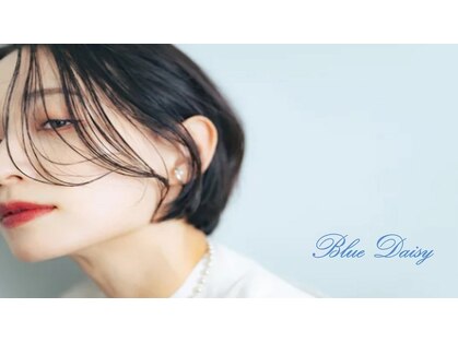 ブルー デイジー BLUE DAISYの写真