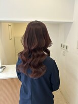 ディティカレスト(Dityca rst) ダウンスタイル