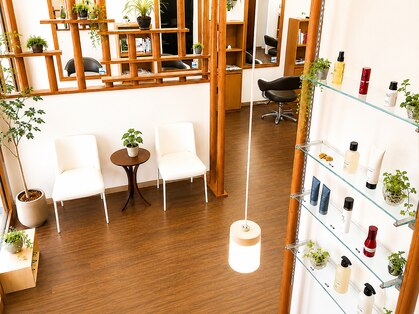 キノヘアー(kino hair)の写真