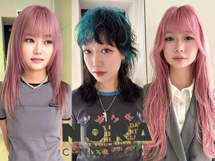 ノラ シンディ(NORA CYNDY)の写真