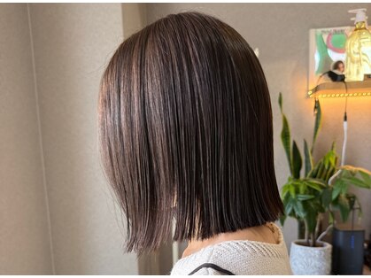オーパス(Opus)の写真