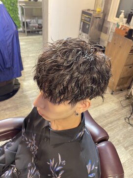 デルフィーノ ヘアーパフォーム(delfino hair perform) デルフィーノヘアーのツイスパ