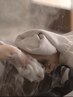 【 竹 】ヘッドスパ～日本ブランドの極上ケア～(トリートメント付き)