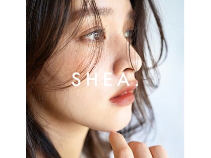 シアアオヤマ 表参道青山(SHEA aoyama)の写真