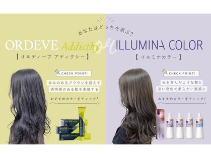 イルミ(iLUMi)の写真