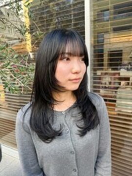 リリックス(Lyrics) ハイレイヤースタイル