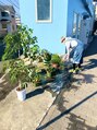 ウェリナ(Welina) 店内の観葉植物達は僕が育てています☆大きくなっていますよー!