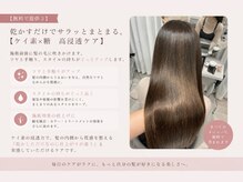 ［無料で提供３］乾かすだけでサラッとまとまる。【ケイ素×糖　高浸透ケア】