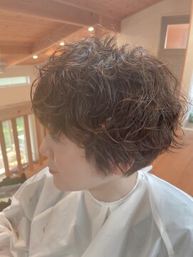 ハニーヘアー(HONEY HAIR) エアリーショート
