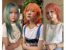 グラスペディア(graspedia)