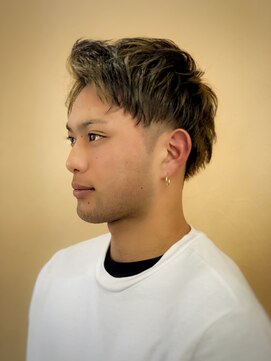 アスター(Aster) Asterゲストスナップ