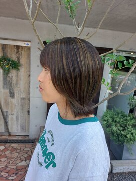 タエビスアリッサム(Taebis Alyssum) 3Dカラー(イルミナカラー、北習志野)