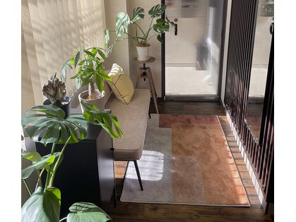 ウビ(ubi”)の写真