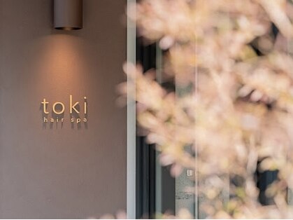 トキ(toki)の写真