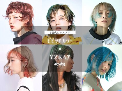 ディグダグ(digxdug.)の写真