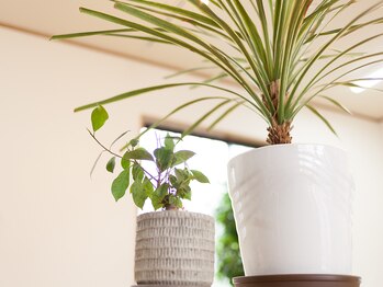 Moani Kela hair＆care salon