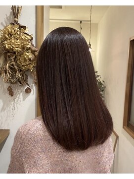 スクレ(s:;cre) チェリーブラウンカラー