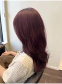 レイヤー