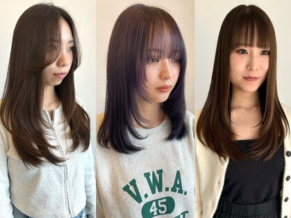 シェルパ(SHERPA)の写真