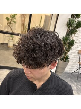 ビーテックバイゼン(B TECH by Zen) スペインカール